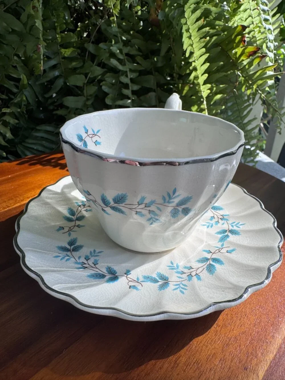 Vintage Myott Bluebell Teacup and Saucer Set by Olde Chelsea Staffordshire